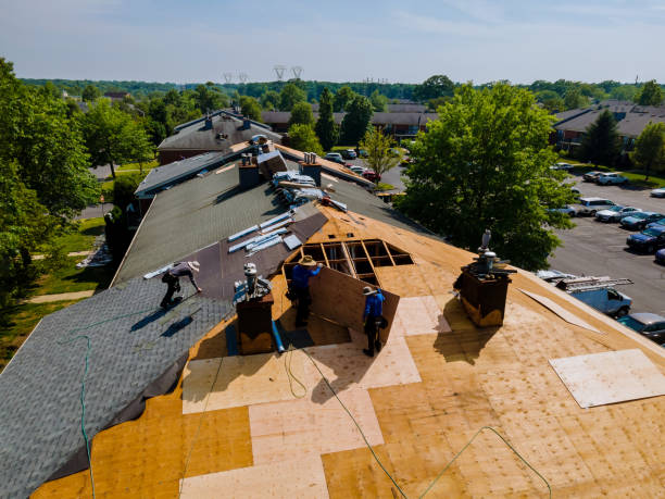 Best Storm Damage Roof Repair  in Wakefield, VA