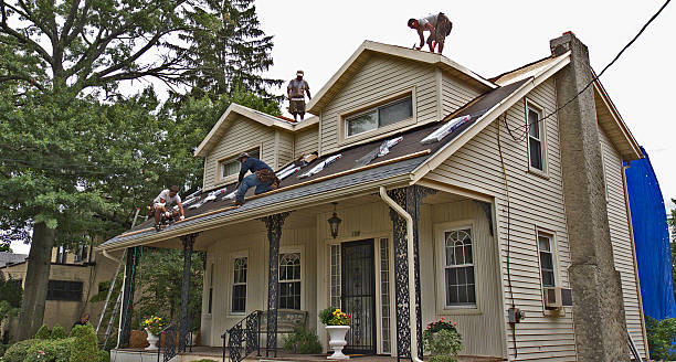 Best Gutter Installation and Roofing  in Wakefield, VA