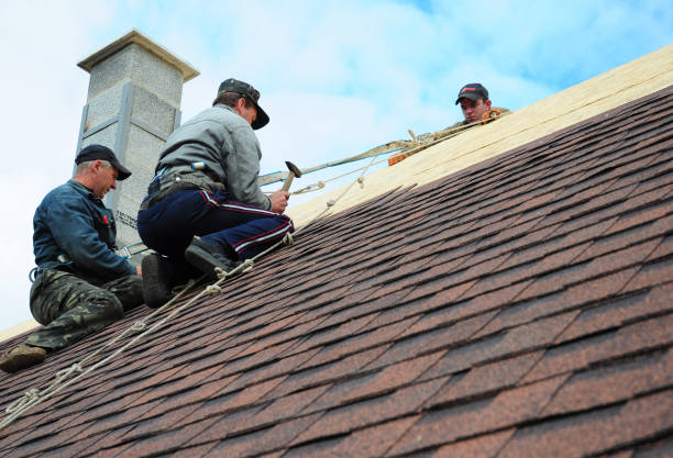 Best Roof Leak Repair  in Wakefield, VA